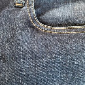 Gap 1969 Perfect Boot Dark Wash 31 L